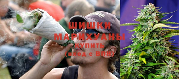 ГАЛЛЮЦИНОГЕННЫЕ ГРИБЫ Надым