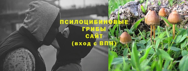 ГАЛЛЮЦИНОГЕННЫЕ ГРИБЫ Надым